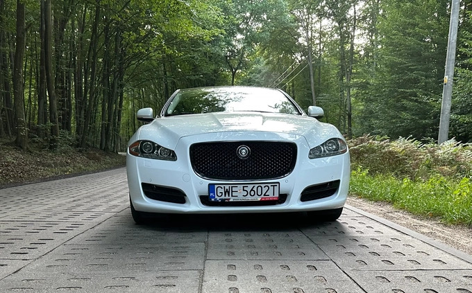 Jaguar XJ cena 99900 przebieg: 79000, rok produkcji 2015 z Barcin małe 596